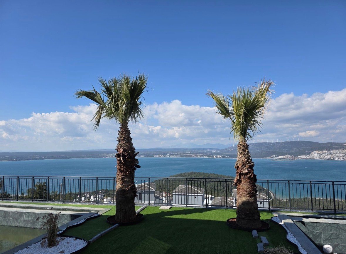 Didim akbuk